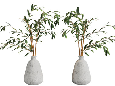 侘寂风花瓶花卉