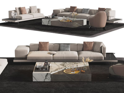 现代多人沙发、休闲椅子和茶几组合