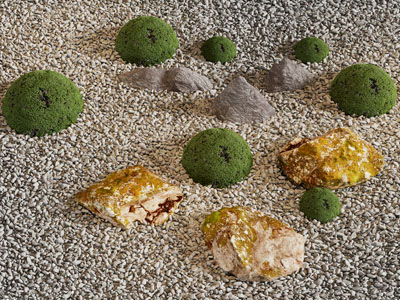 现代石子、灌木景观园艺小品