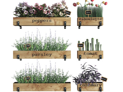 现代实木花盆盆栽花草植物