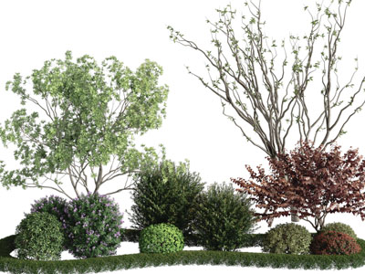 现代灌木、花草绿植