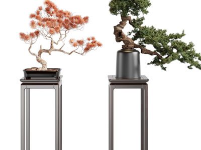 新中式松树盆景盆栽