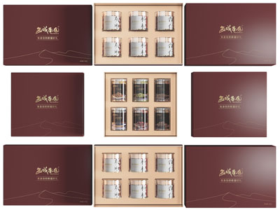 现代节日礼品礼盒包装