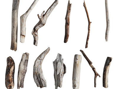 苦干断裂的木棍、树枝