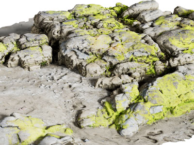 现代长满青苔的泥浆石头