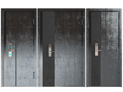 现代带指纹密码锁的入户平开门