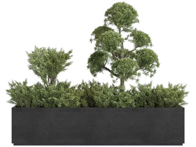 现代长方形户外花盆盆栽植物