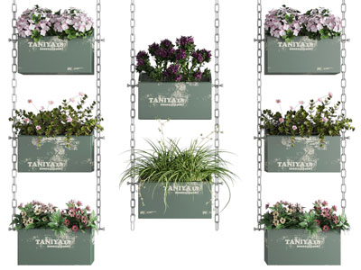 现代挂在锁链上的盆栽植物