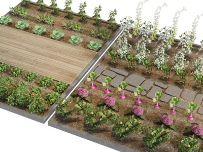 现代中间有路径的菜园子