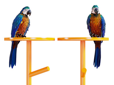 现代鹦鹉3d模型 现代鹦鹉
