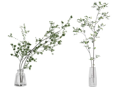 现代玻璃花瓶花卉