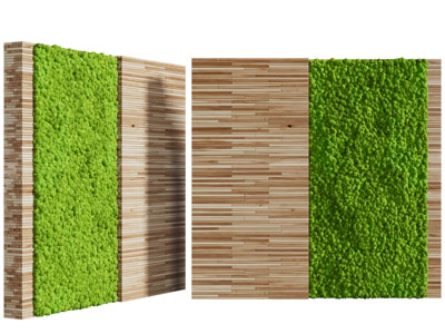 现代实木装饰植物墙