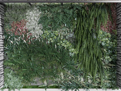 现代种植蕨类植物的植物墙