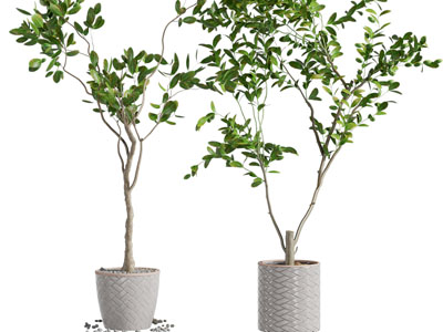 现代带纹理花盆盆栽植物