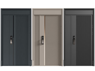 现代带密码锁的入户子母平开门