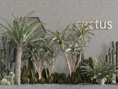 现代仙人柱多肉、椰树景观园艺小品