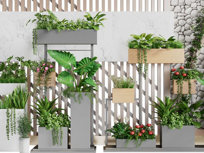 现代盆栽植物景观园艺小品