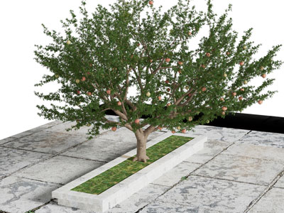 现代庭院果树景观小品