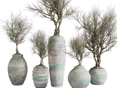 侘寂风花瓶干枝