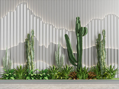 现代仙人掌多肉景观园艺小品