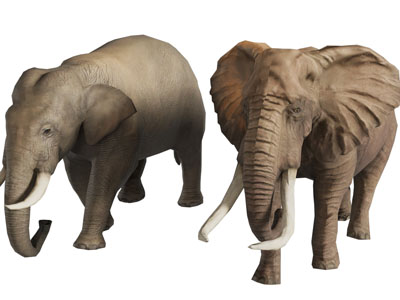 现代大象雕塑雕刻