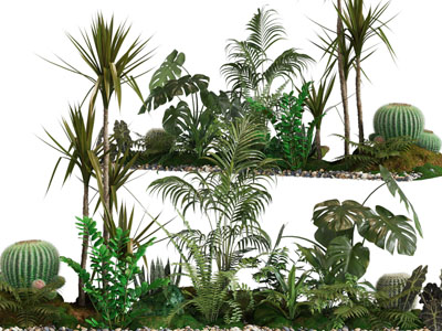 现代花草多肉植物景观园艺小品