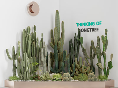 现代仙人掌多肉盆栽植物景观小品