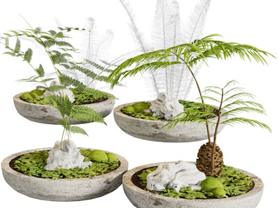 新中式水景盆栽植物