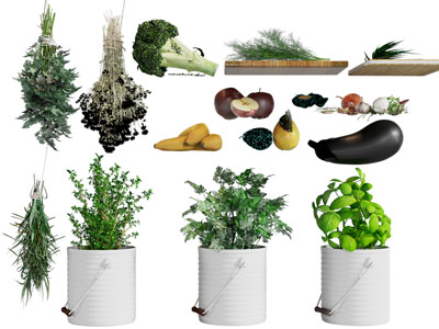 现代花盆盆栽植物、艾叶、水果蔬菜