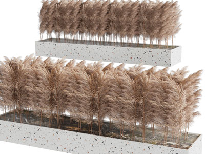 现代户外花坛芦苇景观小品