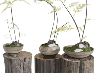 侘寂风花盆盆栽植物木桩摆件组合