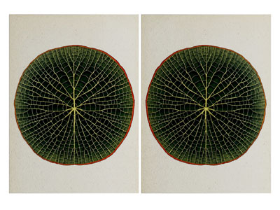 新中式荷叶装饰挂画