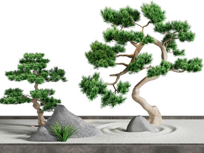 新中式松树、假山景观园艺小品