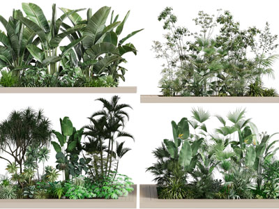 现代花盆花草盆栽植物