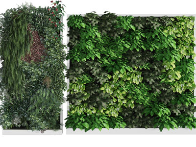 现代方形植物装饰挂画