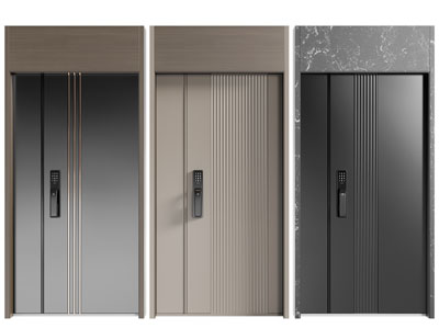 现代带密码锁的入户子母平开门