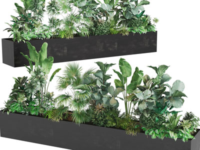 现代长方形花坛植物