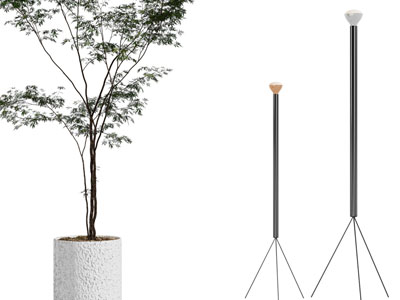 现代落地灯、盆栽植物