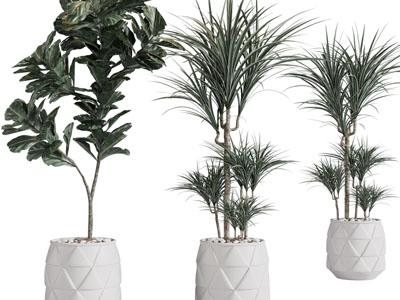 现代三角凹凸纹理花盆盆栽植物