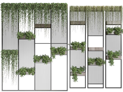 现代装饰植物的玻璃隔断、植物墙