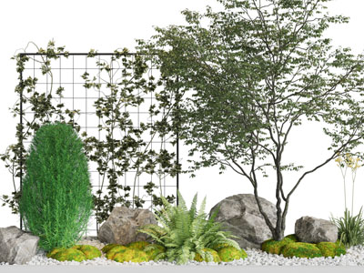 现代树木、石头景观园艺小品