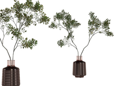 现代陶瓷花瓶树枝