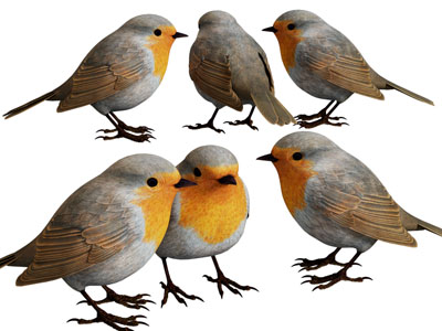 现代小麻雀3d模型 现代小麻雀