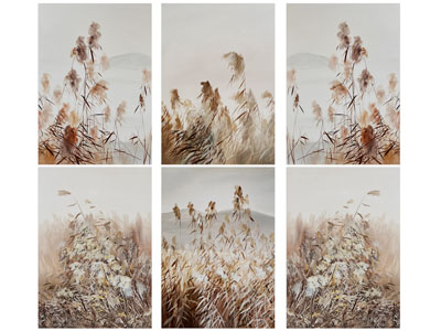 现代芦苇花装饰挂画