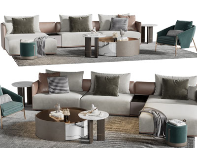 现代多人沙发、休闲椅子和茶几组合