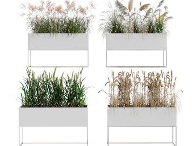 现代户外盆栽花草