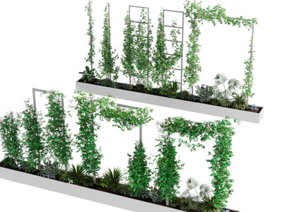 现代户外花坛植物墙、藤蔓植物