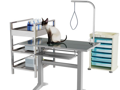 现代宠物医院手术台、治疗台