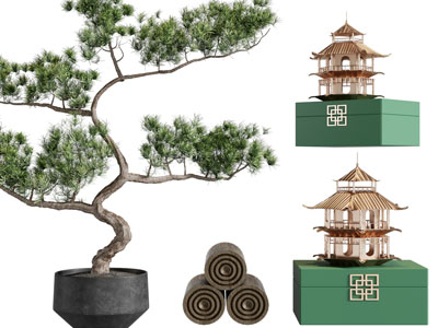 新中式松树盆景盆栽