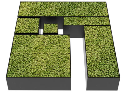 现代户外花盆绿植、盆栽植物